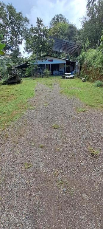 Hostel Hook And Cook Drake Bay Exterior foto